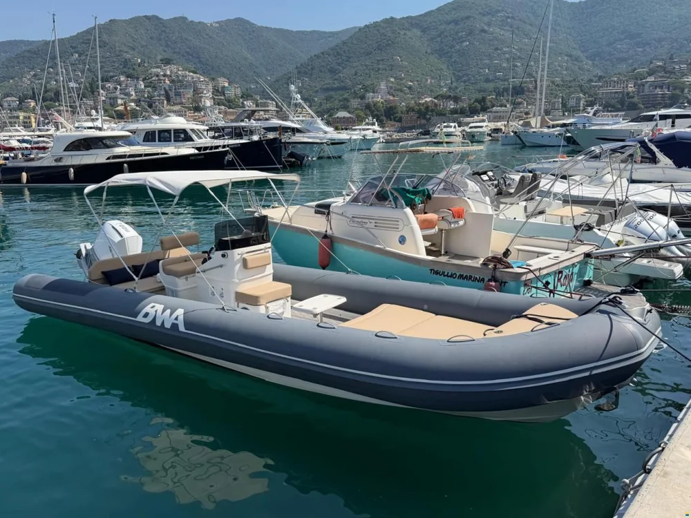 BoatPhoto.coverAlt
