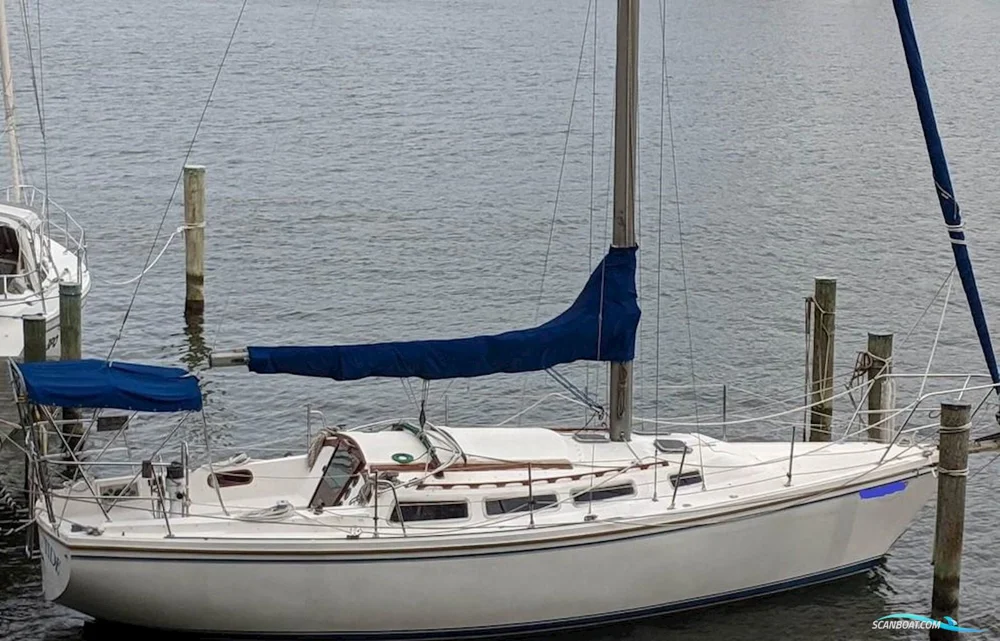 BoatPhoto.alt