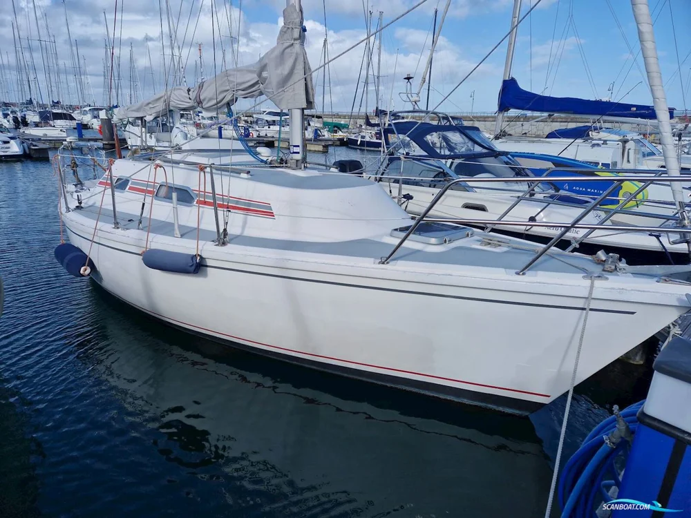 BoatPhoto.coverAlt