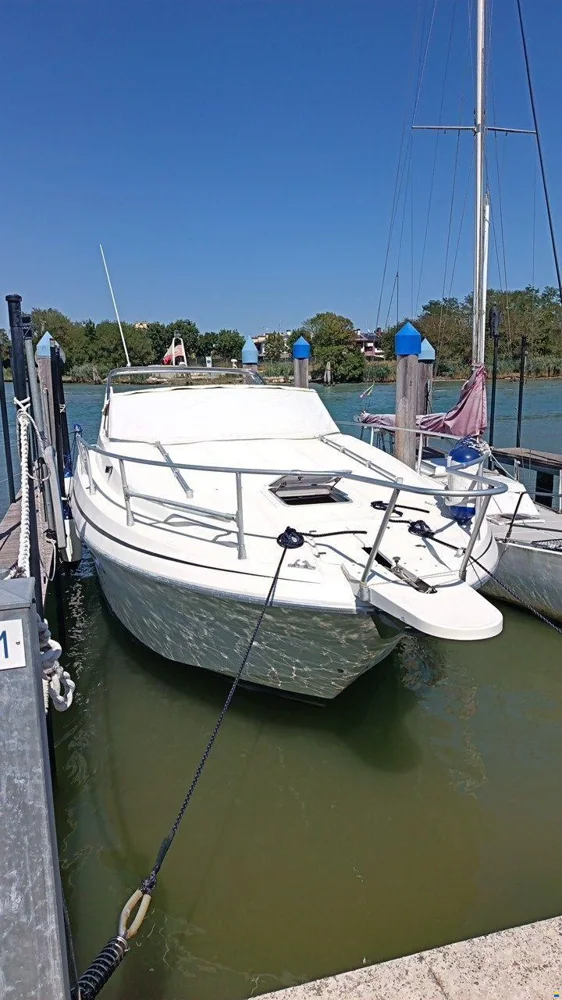 BoatPhoto.coverAlt