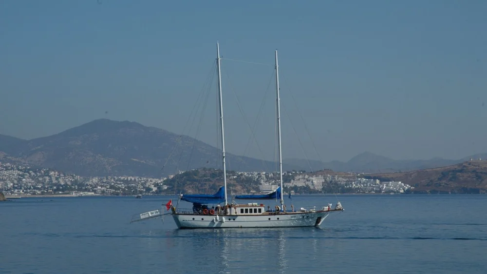 BoatPhoto.coverAlt