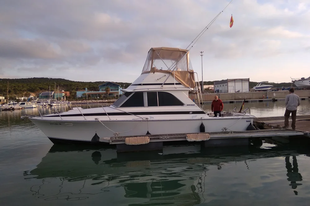 1982 Bertram 35 for sale in Denia, Spain, photo 3 of 5