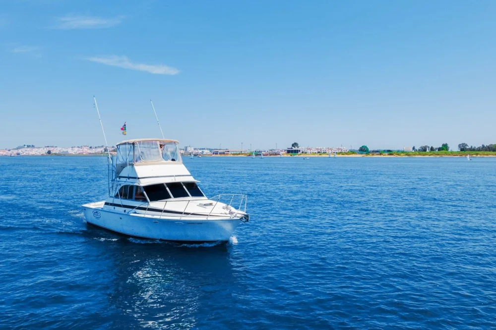 1982 Bertram 35 for sale in Denia, Spain, photo 5 of 5