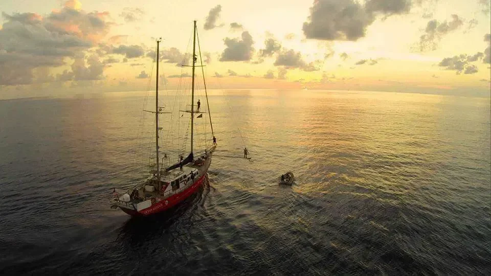 BoatPhoto.coverAlt
