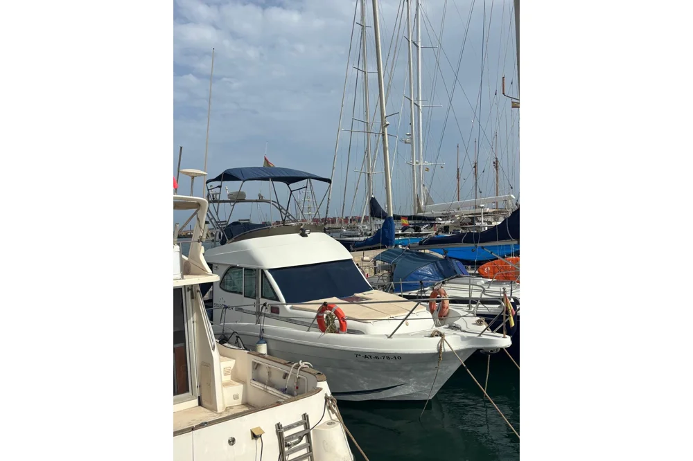 BoatPhoto.coverAlt
