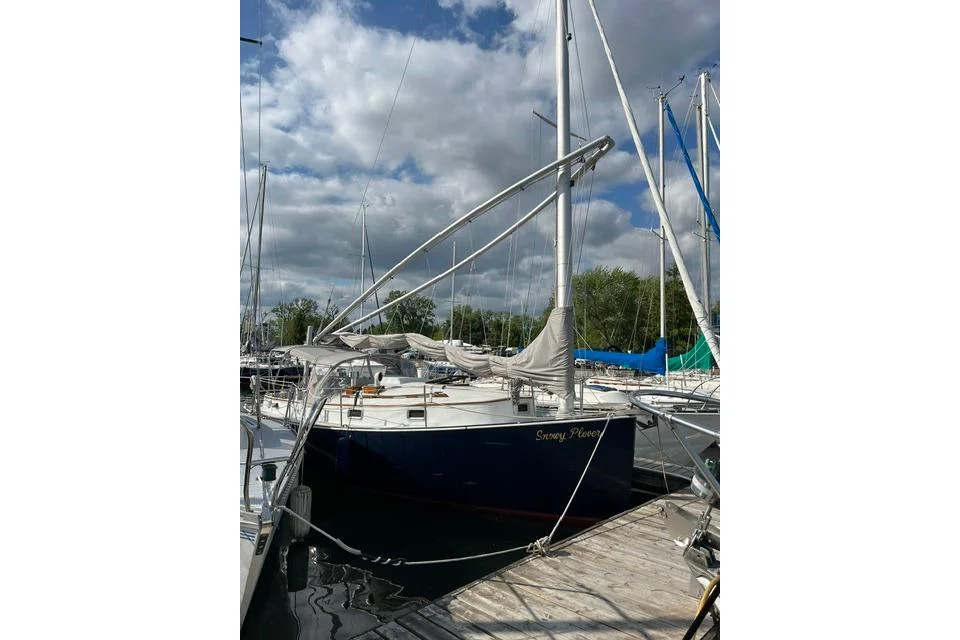 1981 Nonsuch 26 Classic for sale in Picton, Canada, photo 4 of 5
