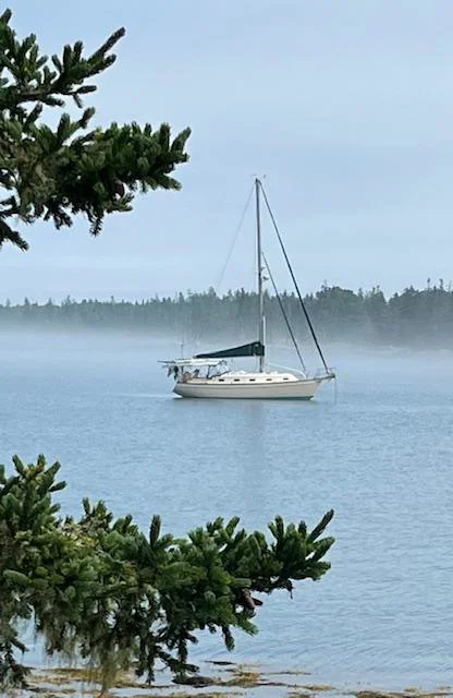 BoatPhoto.coverAlt