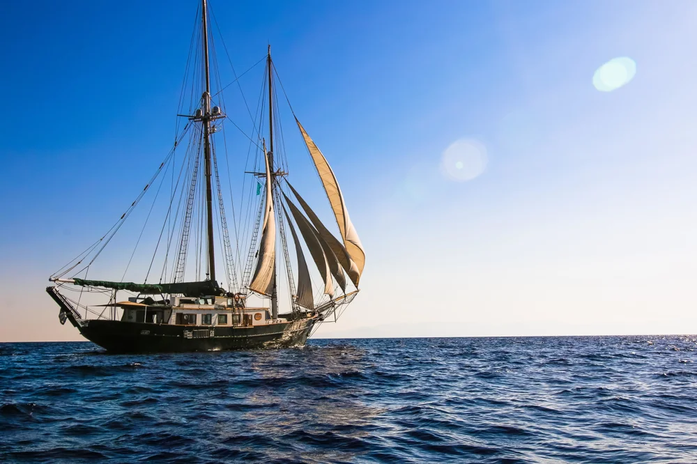 BoatPhoto.coverAlt