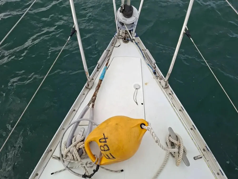 BoatPhoto.alt
