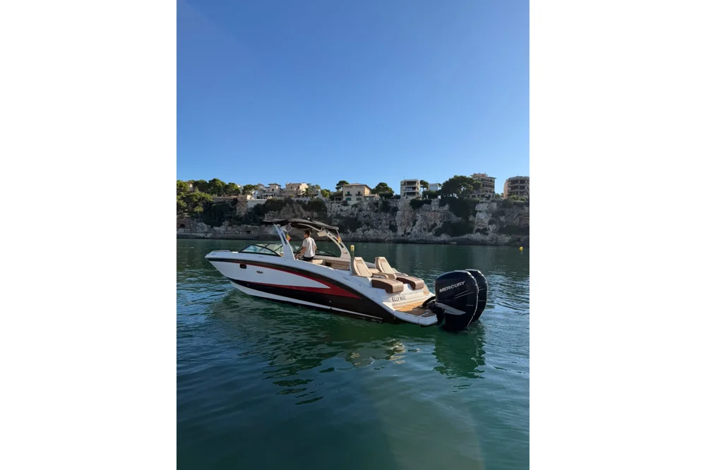 2017 Sea Ray 290 Sundeck Outboard for sale in Calvià, Spain, photo 3 of 5