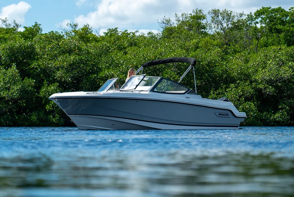 2026 Boston Whaler 210 Vantage for sale, photo 3 of 5