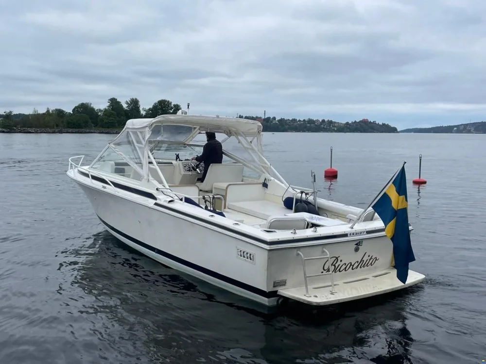 1992 Bertram 28 Moppie for sale in Stockholm, Sweden, photo 3 of 5