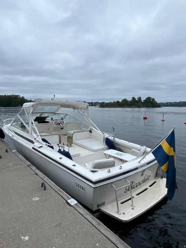 1992 Bertram 28 Moppie for sale in Stockholm, Sweden, photo 4 of 5