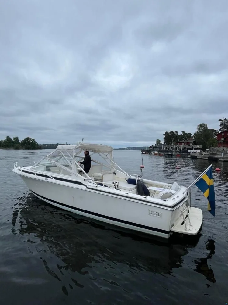 1992 Bertram 28 Moppie for sale in Stockholm, Sweden, photo 5 of 5