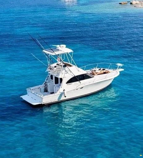 BoatPhoto.coverAlt