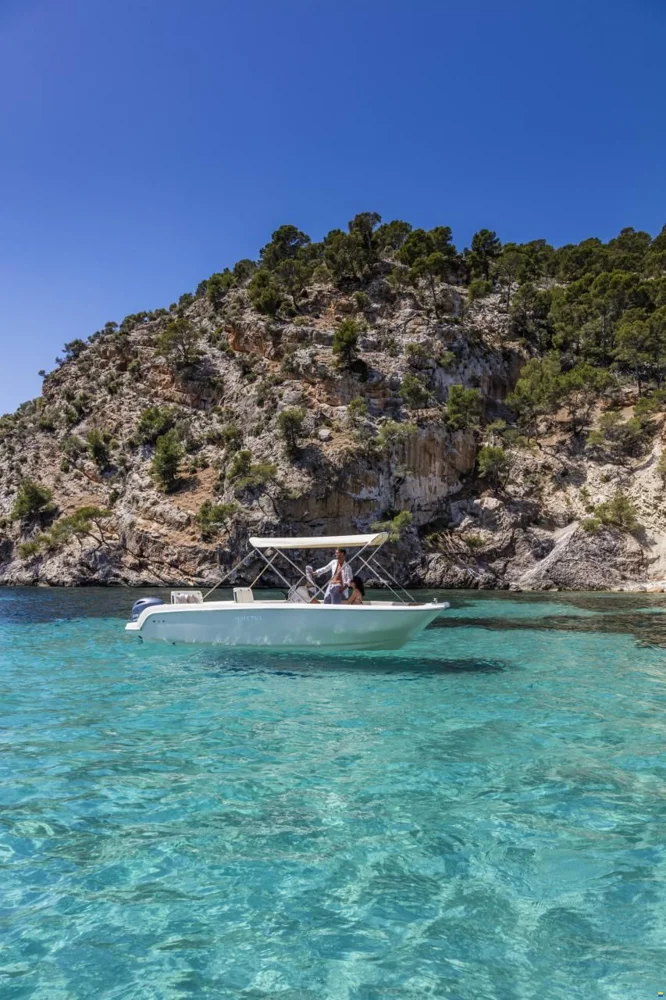 BoatPhoto.coverAlt