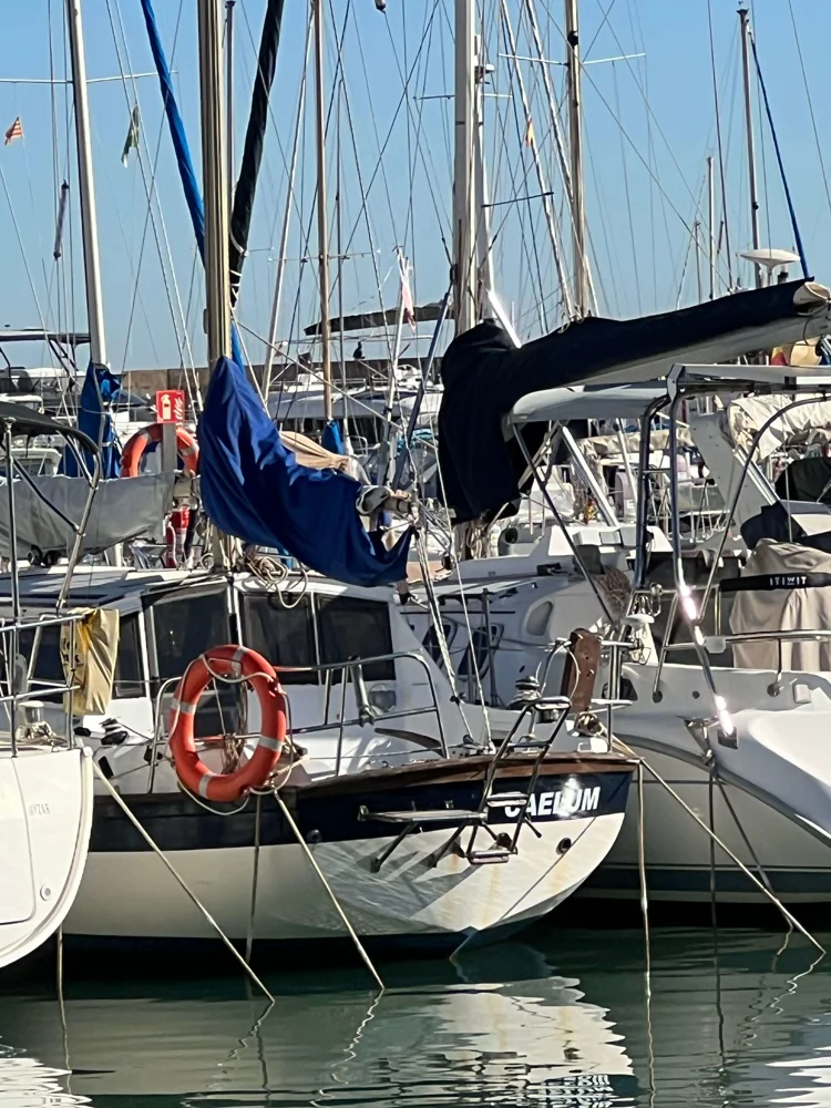BoatPhoto.coverAlt