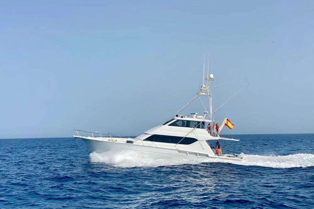 BoatPhoto.coverAlt