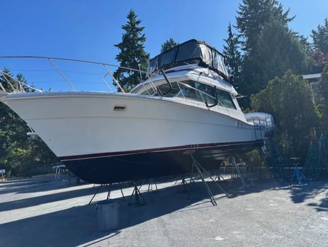 BoatPhoto.coverAlt