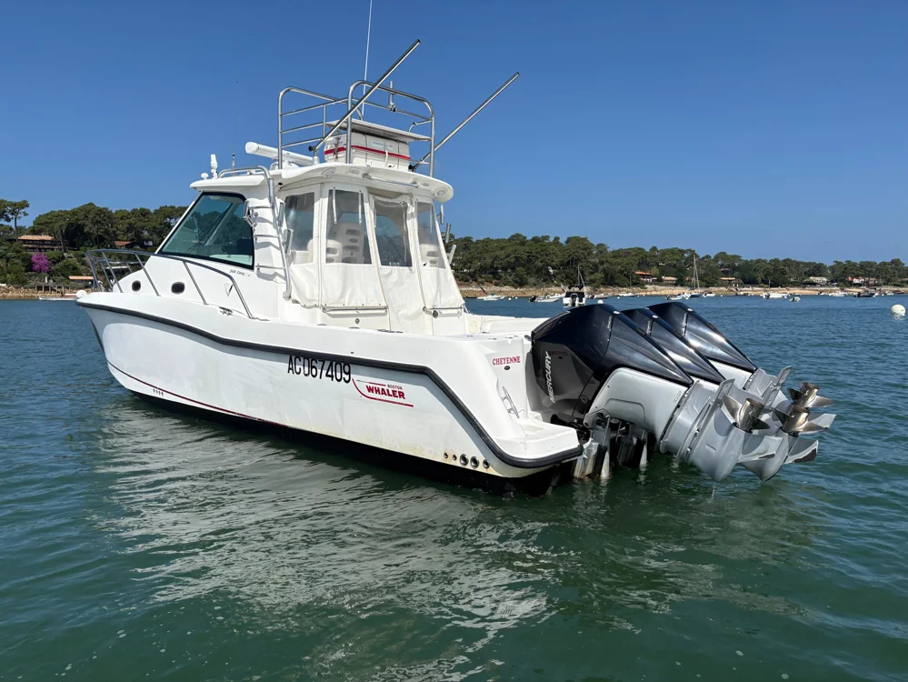 BoatPhoto.alt