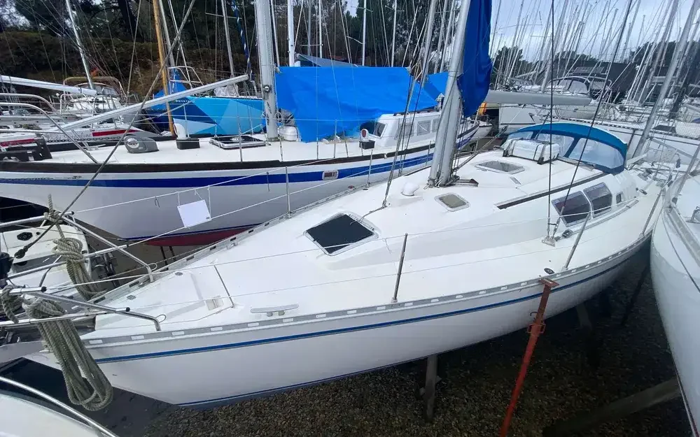 BoatPhoto.coverAlt