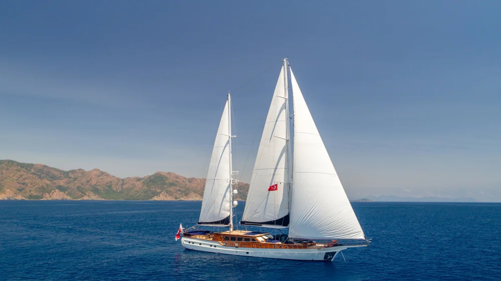 BoatPhoto.coverAlt