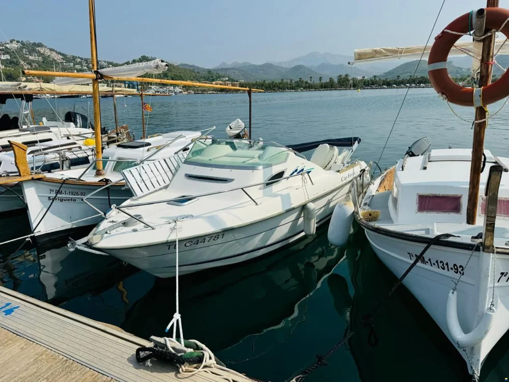 BoatPhoto.coverAlt