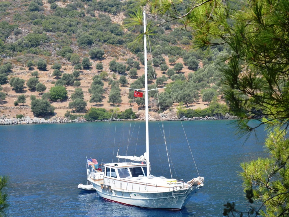 BoatPhoto.alt