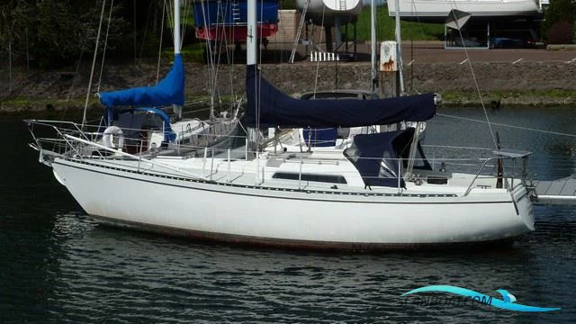 BoatPhoto.coverAlt