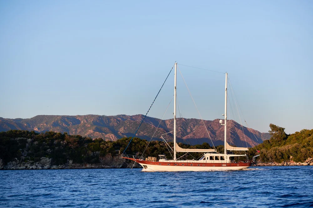 BoatPhoto.coverAlt