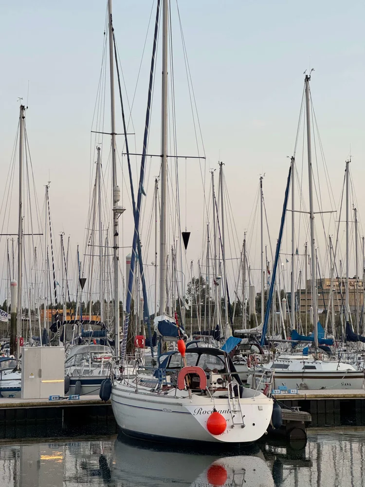 BoatPhoto.coverAlt