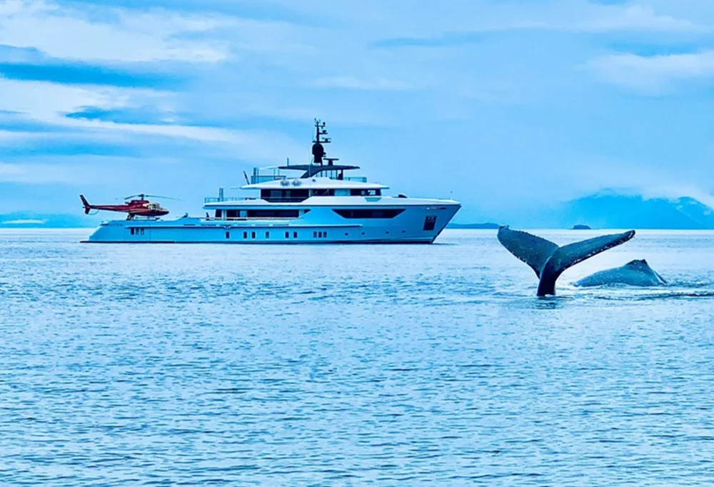 BoatPhoto.coverAlt