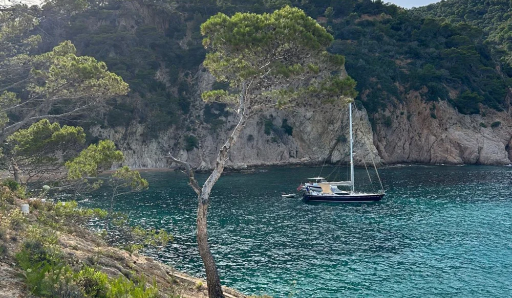 BoatPhoto.alt