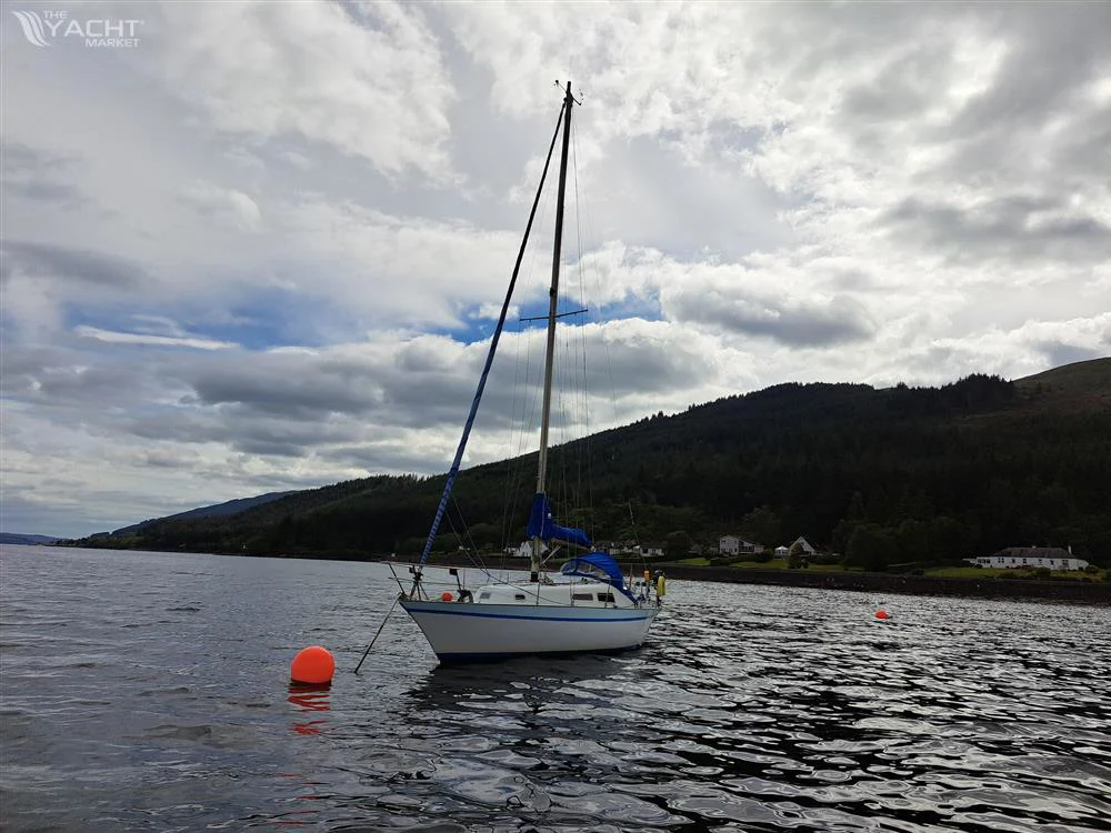 BoatPhoto.alt