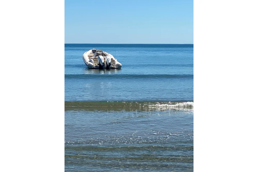 2016 Blackfin Boats 31 Combi for sale in Grimaud, France, photo 5 of 5