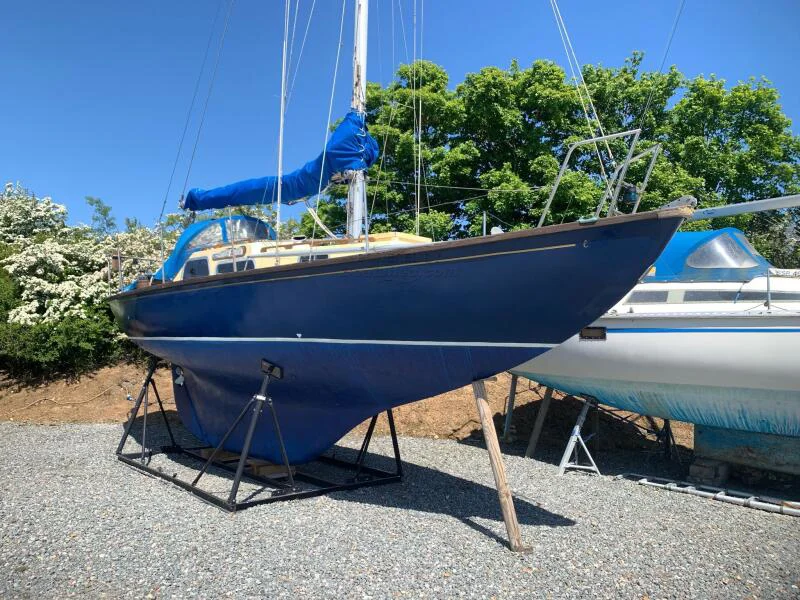 BoatPhoto.alt