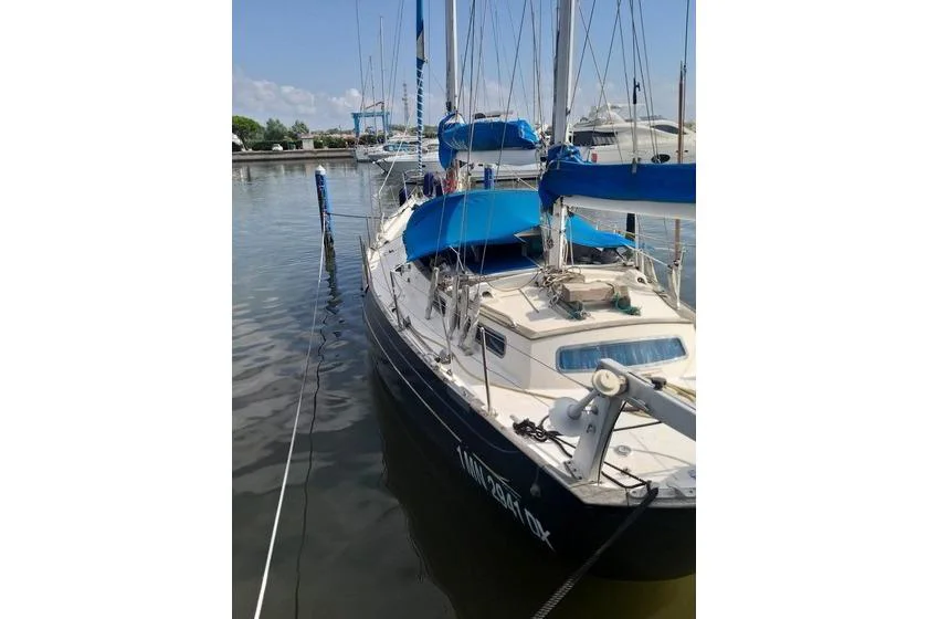 BoatPhoto.alt