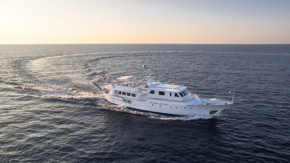 1982 De Vries Lentsch Co.Na.Vi. for sale in Cannes, France, photo 3 of 5