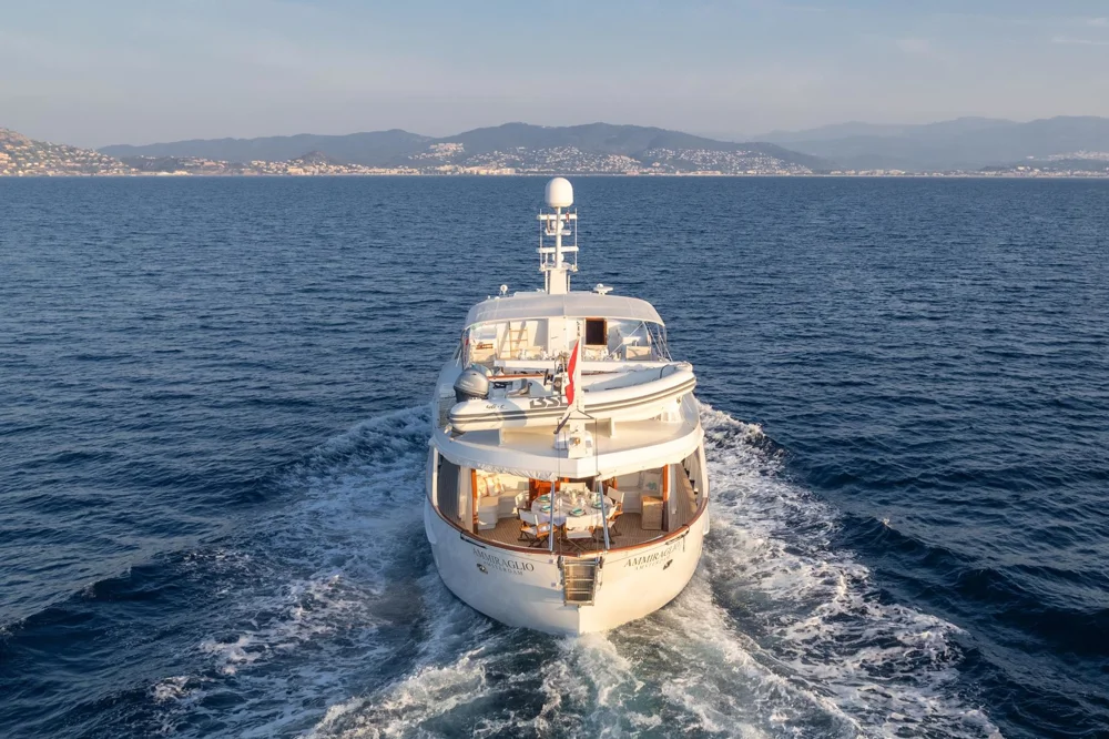 1982 De Vries Lentsch Co.Na.Vi. for sale in Cannes, France, photo 5 of 5