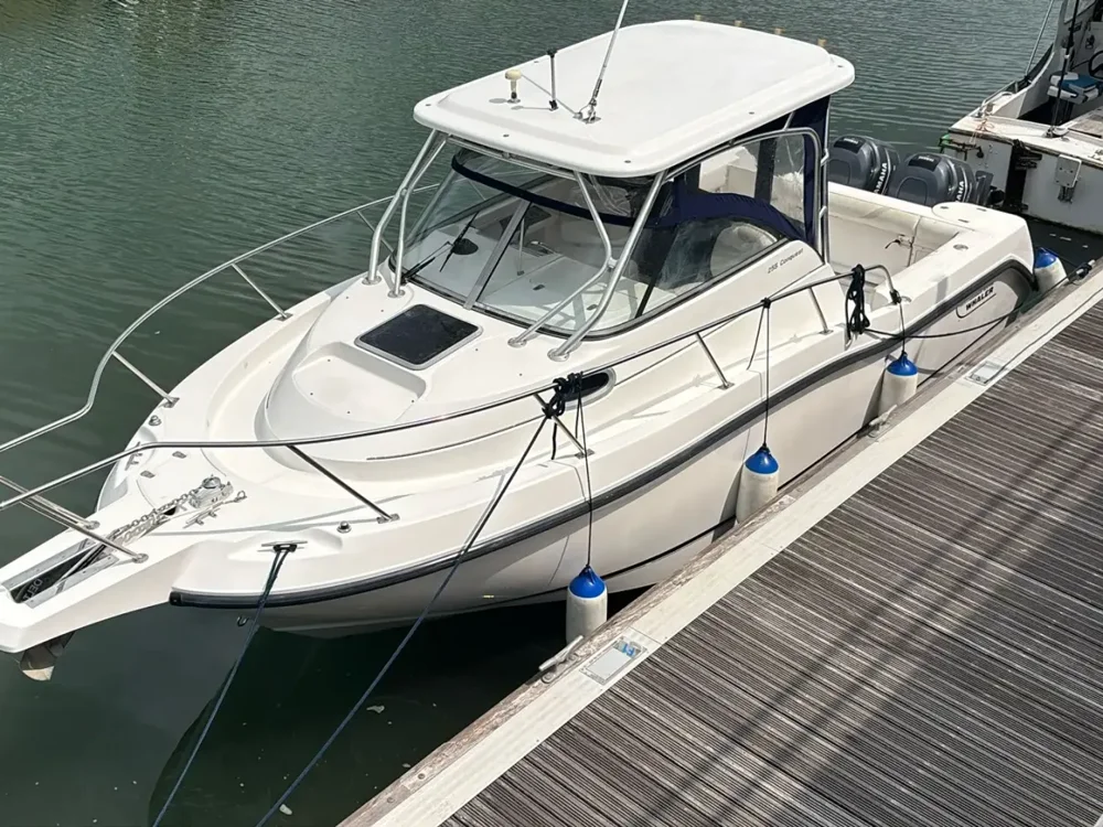BoatPhoto.alt