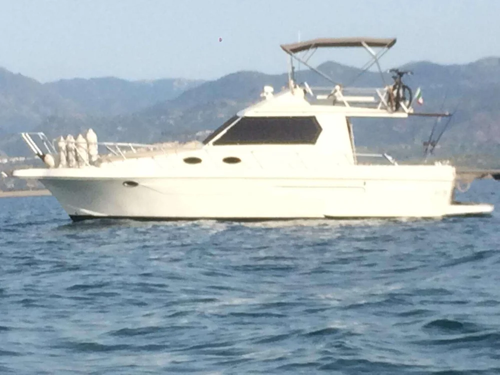1995 Dellapasqua DC 9 for sale in Catania, Italy
